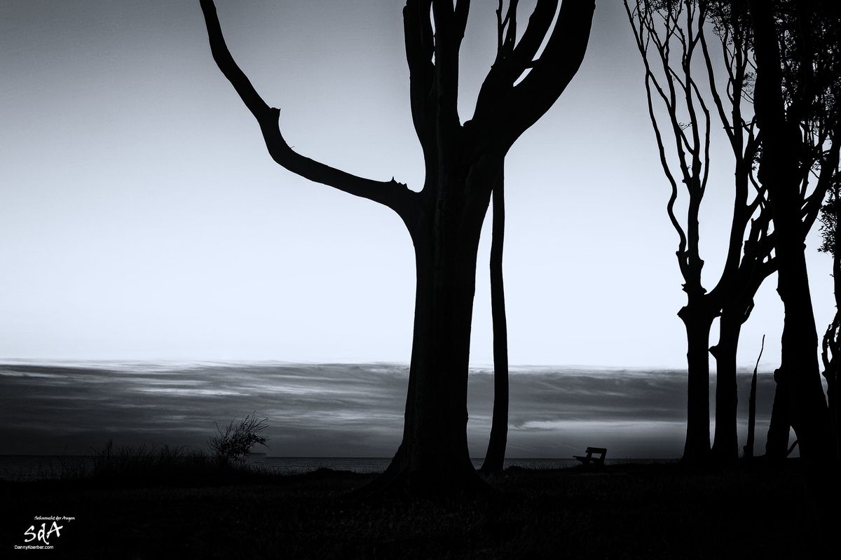 Der Baum am Horizont, fotografiert von Danny Koerber für Sehnsucht der Augen.