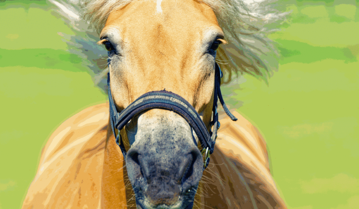 Pferde im Galopp, eingefangen in einem Moment von Kraft und Freihei